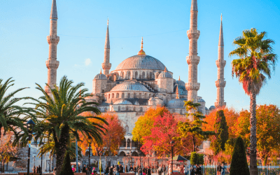 Greffe capillaire en Turquie : pourquoi tant d’hommes font le voyage ?