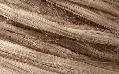 Cheveux cassants ou chute de cheveux : comment faire la différence ?