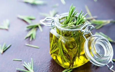 Huile de romarin : une alternative naturelle au minoxidil ?