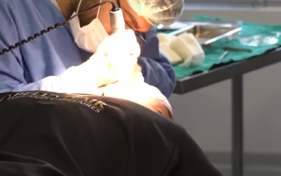 Pourquoi certains patients récupèrent plus vite que d’autres après une greffe
