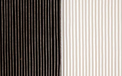 Pourquoi comparer sa greffe à celle des autres est une erreur