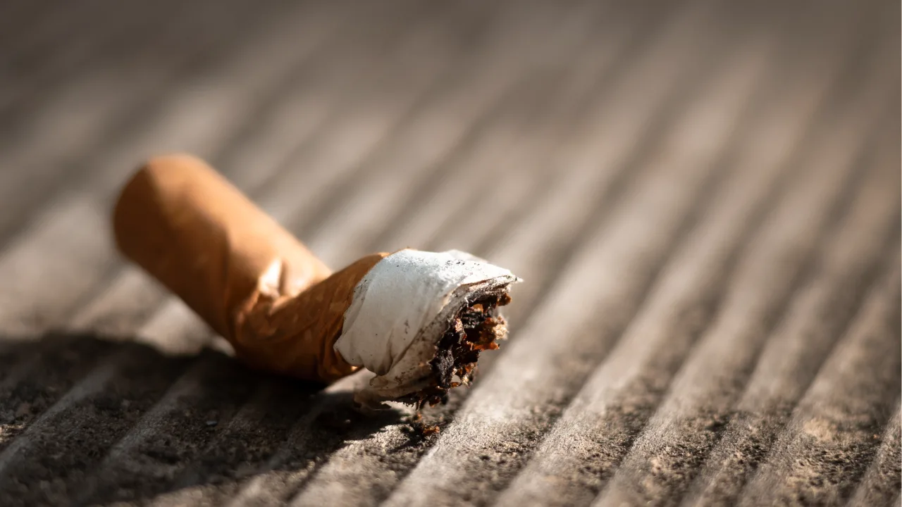 greffe capillaire tabac repousse
